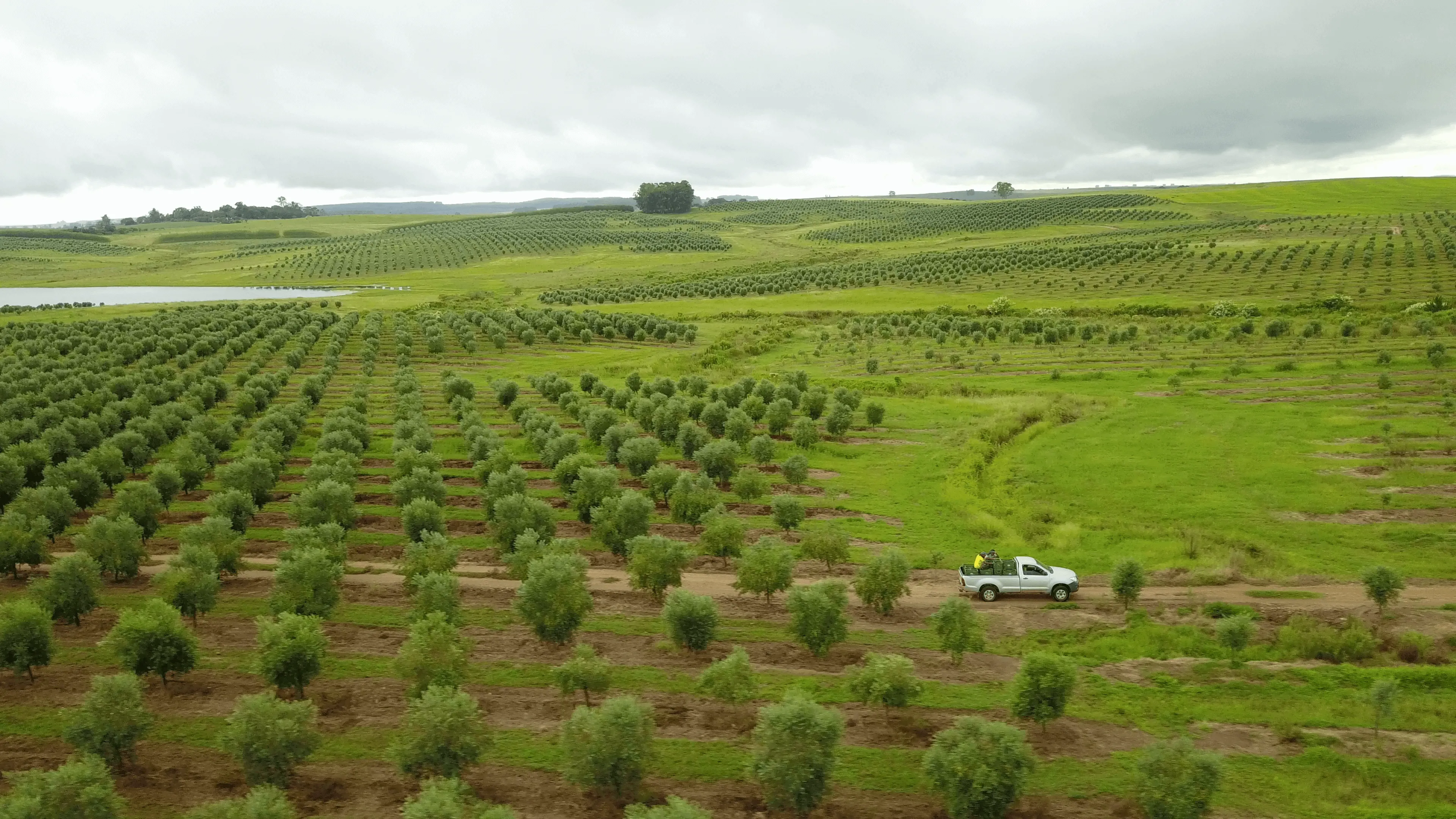 Paisagem rural filmada para uma empresa